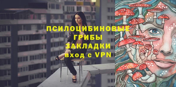 молекула духа Аркадак