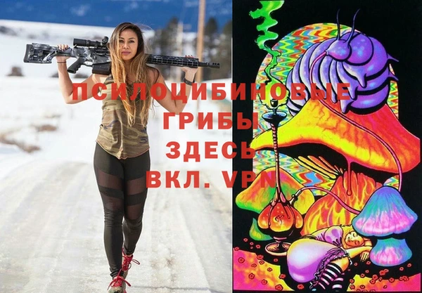 молекула духа Аркадак